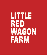 Logo 2